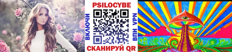 купить закладку  Кущёвская  Галлюциногенные грибы MAGIC MUSHROOMS 