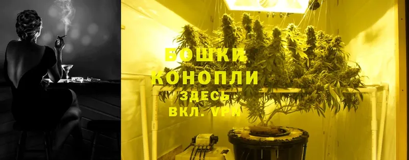 Бошки Шишки Ganja  закладка  Кущёвская 